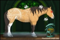 Horse Color:Buckskin Sabino 