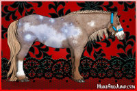 Horse Color:Red Roan Frame 