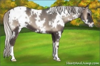 Horse Color:White Spotted Silver Blue Onyx 