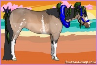 Horse Color:White Spotted Bay Dun