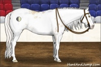 Horse Color:Silver Grullo Pearl Sabino Rabicano 