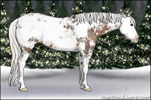 Horse Color:Silver Black Sabino 