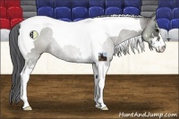 Horse Color:Grullo Sabino Tobiano 