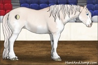 Horse Color:Silver Classic Champagne Dun Splash Rabicano 