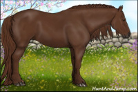 Horse Color:Gray Chestnut 