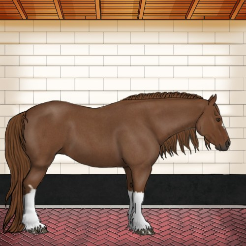 Horse Color:Gray Red Roan 