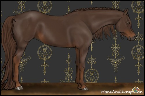 Horse Color:Gray Chestnut