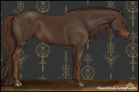 Horse Color:Gray Chestnut
