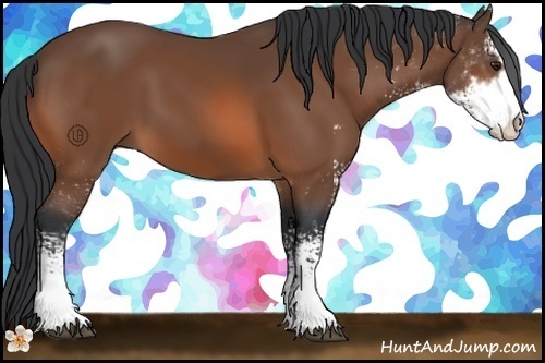 Horse Color:Bay Sabino 