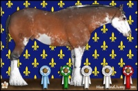Horse Color:Brown Sabino
