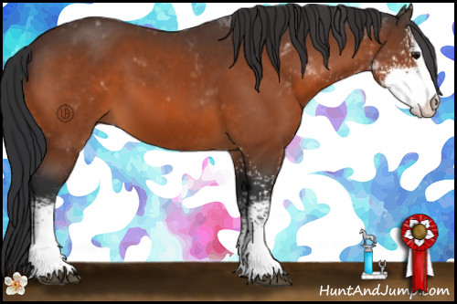 Horse Color:Brown Sabino