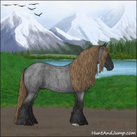Horse Color:Gray Liver Red Roan 