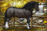 Horse Color:Gray Brown 