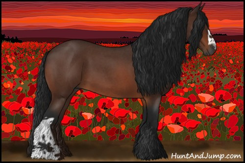 Horse Color:Gray Brown Roan