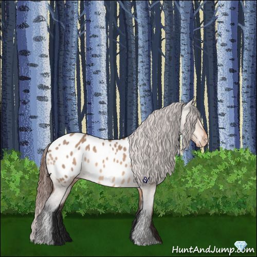 Horse Color:Bay Roan Dun Blanket 