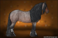 Horse Color:Bay Roan 