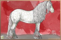 Horse Color:Watercolor Silver Amber Cream Champagne Roan Pearl Near Leopard 