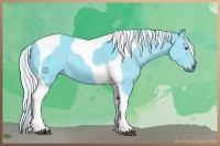 Horse Color:Watercolor Silver Black Chinchilla Tobiano Rabicano 