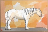 Horse Color:Silver Amber Champagne Dun Tobiano 
