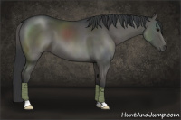 Horse Color:Grullo Brindle 