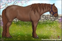 Horse Color:Red Roan 