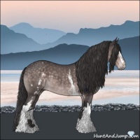 Horse Color:Platinum White Spotted Buckskin 