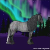 Horse Color:Midnight Brown Chinchilla Roan Onyx