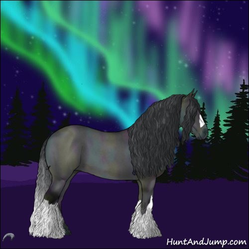 Horse Color:Midnight Brown Chinchilla Roan Onyx 