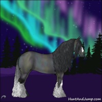 Horse Color:Midnight Brown Chinchilla Roan Onyx 