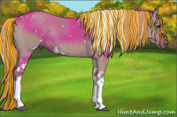 Horse Color:Painted White Spotted Silver Grullo Tobiano Rabicano