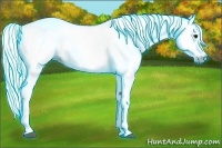 Horse Color:Gray Thunderstruck White Spotted Black Pearl Blanket Rabicano 