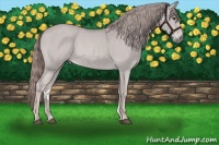 Horse Color:Platinum Chestnut