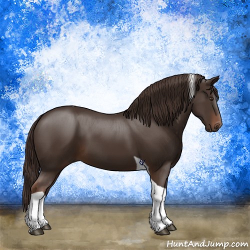 Horse Color:Liver Chestnut Tobiano 