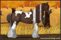 Horse Color:Liver Chestnut Tobiano 