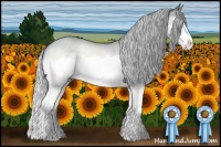 Horse Color:Silver Brown Chinchilla Dun Splash 