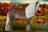 Horse Color:Liver Chestnut Mushroom 