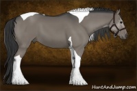 Horse Color:Grullo Sabino Tobiano