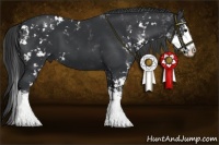 Horse Color:Black Sabino Splash