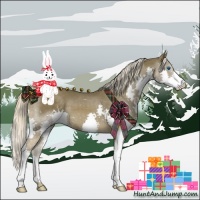Horse Color:Chocolate Palomino Splash 