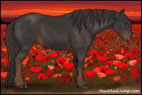 Horse Color:Liver Chestnut 