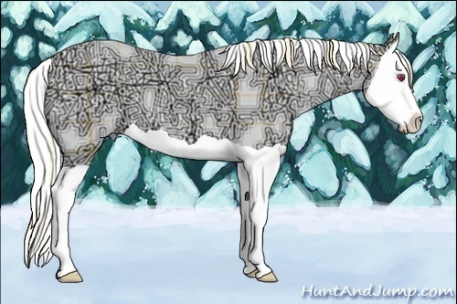 Horse Color:Plaid  Gold Champagne Chinchilla Ice Splash 