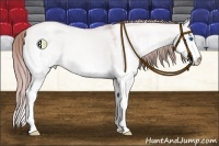 Horse Color:Platinum Buckskin Pearl Dun Splash Varnish 
