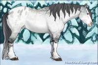 Horse Color:Chocolate Brown Chinchilla Ice Sabino Splash Blanket 
