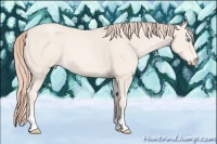 Horse Color:Perlino 