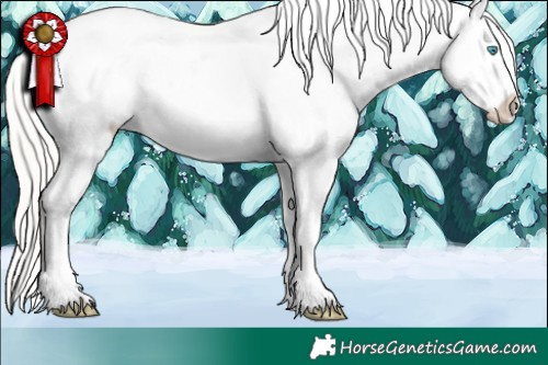 Horse Color:Silver Buckskin Ice Pearl Blanket