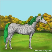 Horse Color:Painted Perlino Ice Onyx 
