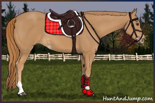 Horse Color:Chestnut Sabino