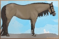 Horse Color:Smoky Grullo Sabino 