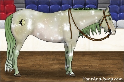 Horse Color:Watercolor White Spotted Bay Pearl Rabicano