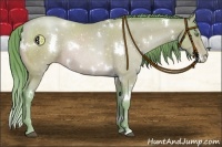 Horse Color:Watercolor White Spotted Bay Pearl Rabicano 